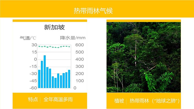 湘教版七年级地理上册同步备课 4.4世界主要气候类型(课件)07