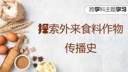 【人教新版】初中地理 第六章 跨学科主题学习 《探索外来食物传播史》教学课件