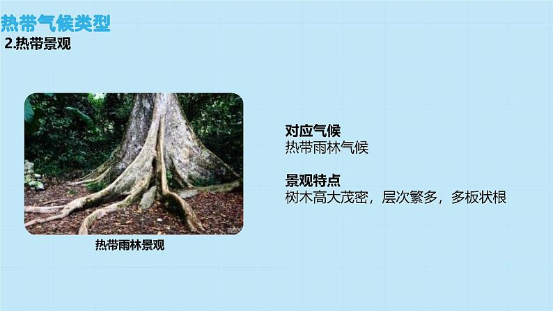 5.4 世界主要气候类型 课件----2024-2025学年湘教版(2024)地理七年级上册第6页