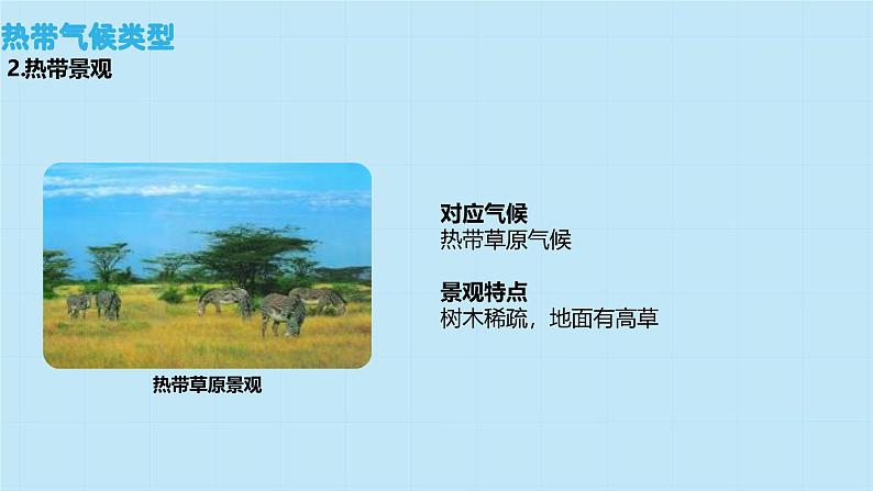 5.4 世界主要气候类型 课件----2024-2025学年湘教版(2024)地理七年级上册第8页
