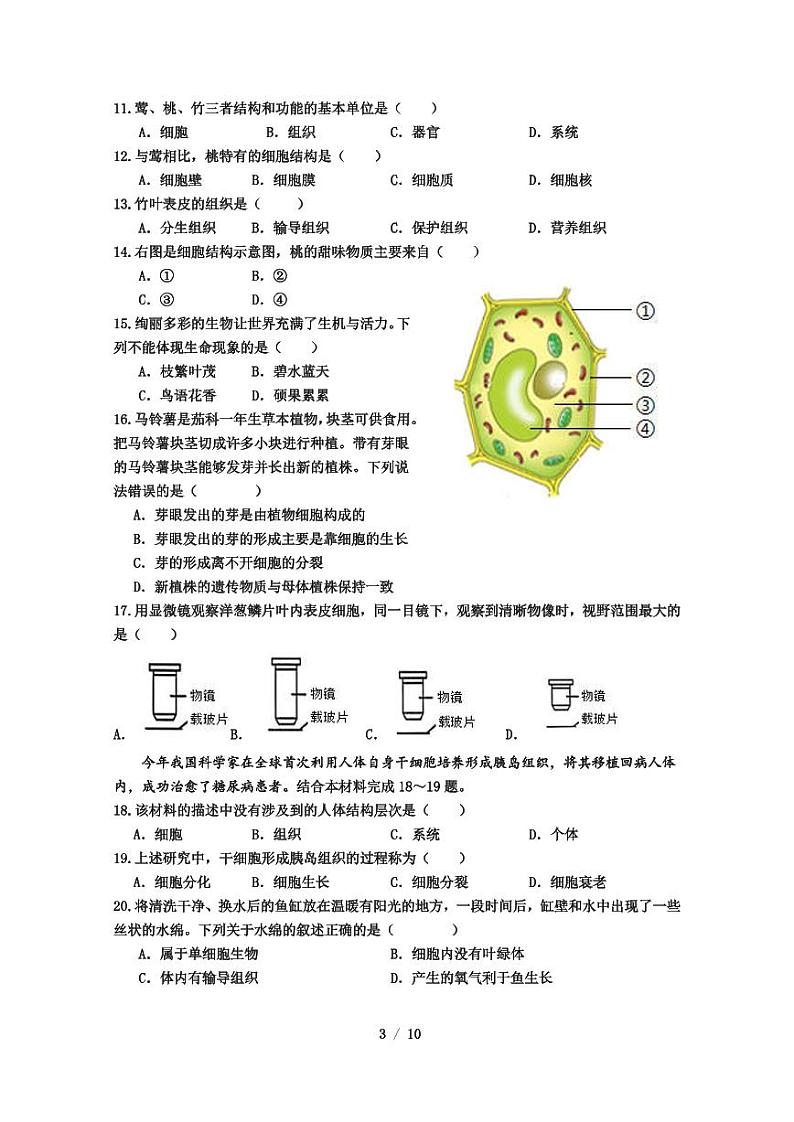 八角楼初级中学教联体2024~2025学年度第一学期期中学业监测七年级地理•生物试题及答题卡第3页