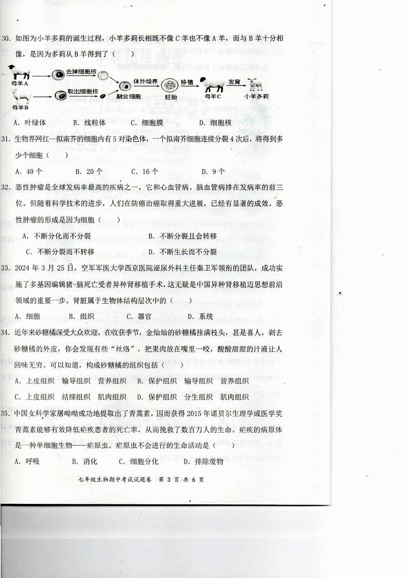 生物第3页