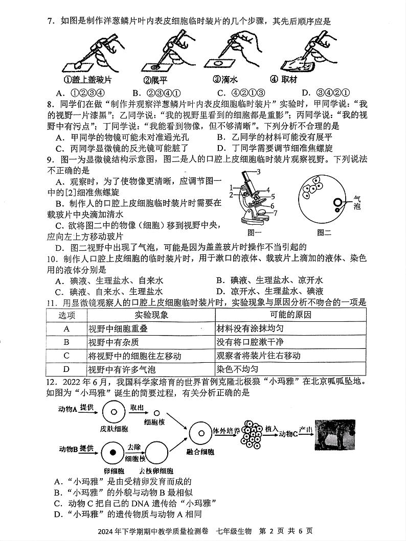 湖南省娄底市2024—2025学年上学期期中考试七年级地理、生物试题第2页