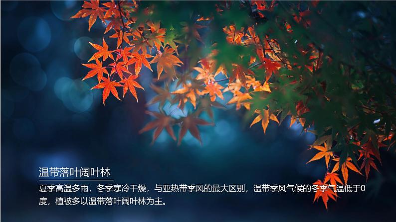 5.4 世界主要气候类型(第2课时)-初中地理新教材七年级上册 同步教学课件(湘教版2024)06