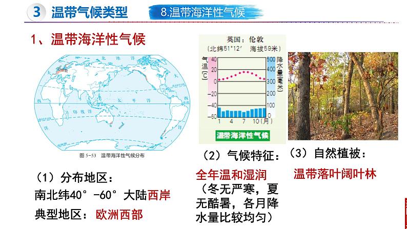 5.4 世界主要气候类型(第2课时)-初中地理新教材七年级上册 同步教学课件(湘教版2024)08