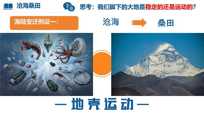 初中 地理 人教版(2024) 七年级上册(2024) 第三章 第三节 海陆的变迁 课件第5页