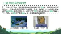 地理七年级上册(2024)第三节 海陆的变迁精品ppt课件