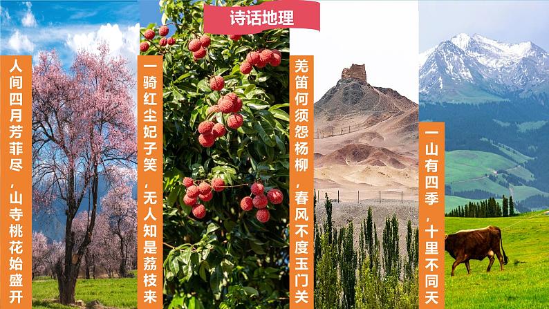 2024-2025学年七年级地理上册(人教版2024)4.4.2 世界的气候课件(PPT)第4页
