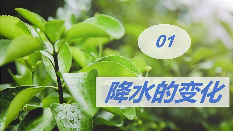 2024-2025学年七年级地理上册(人教版2024)4.3降水的变化与分布(课件)第5页