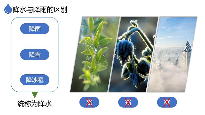 人教版地理七年级上册4.3《降水的变化与分布》(课件)第7页