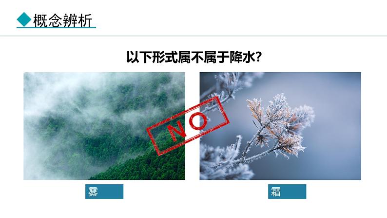 2024人教版地理七年级上册第四章天气与气候4.3 降水的变化与分布 教学课件ppt第5页