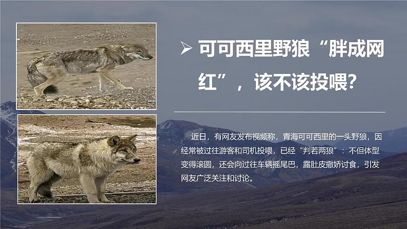 湘教版初中地理八年级下册5.3西北地区和青藏地区(第2课时) 课件第2页