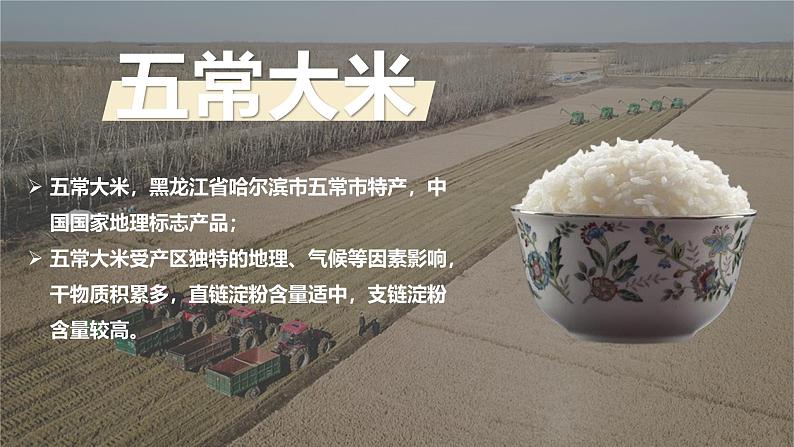 湘教版初中地理八年级下册6.3东北的产业的分布 课件第3页