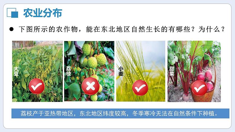 湘教版初中地理八年级下册6.3东北的产业的分布 课件第6页