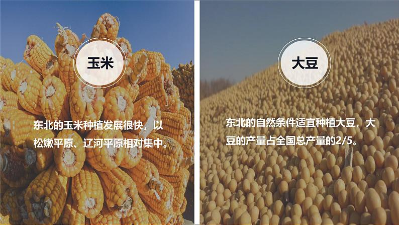 湘教版初中地理八年级下册6.3东北的产业的分布 课件第8页