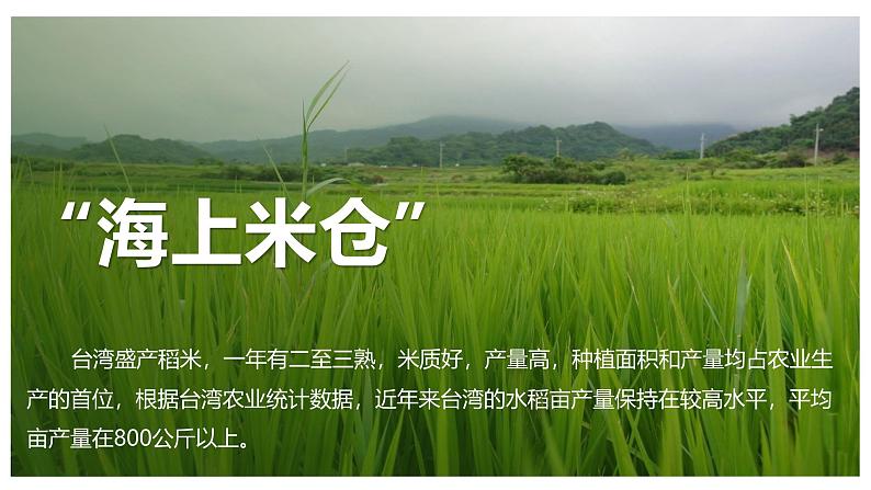湘教版初中地理八年级下册8.2台湾省的地理环境与经济发展(第2课时) 课件08