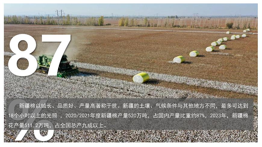 湘教版初中地理八年級下冊8.3新疆維吾爾自治區(qū)的地理概況與區(qū)域開發(fā)（第2課時） 課件第8頁