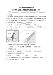 山东省滨州市无棣县2024-2025学年七年级上学期期中考试地理试卷（A卷）(含答案)
