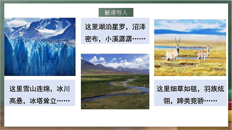 人教版地理八年级下册 9.2《高原湿地——三江源地区》课件第2页