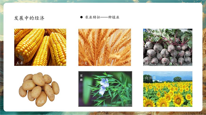 9.3俄羅斯第二課時 課件第2頁