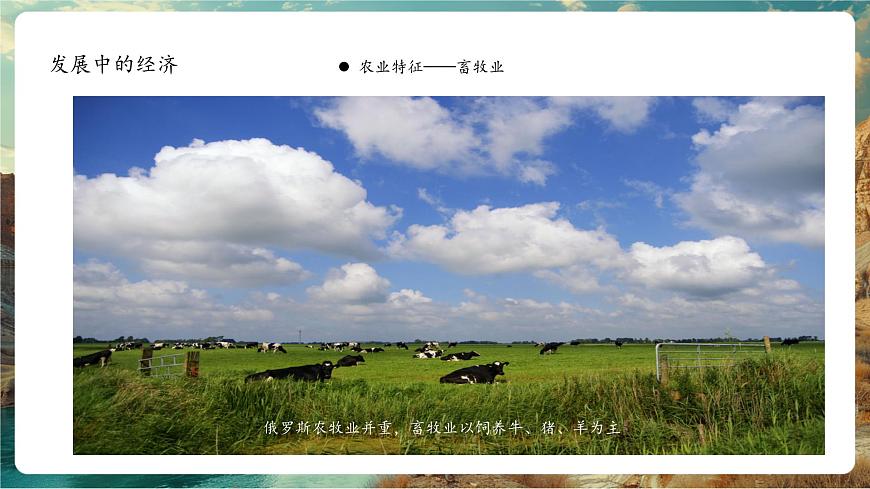 9.3俄羅斯第二課時 課件第3頁