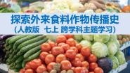 初中地理人教版（2024）七年级上册(2024)【跨学科主题学习】探索外来食料作物传播史教课内容ppt课件
