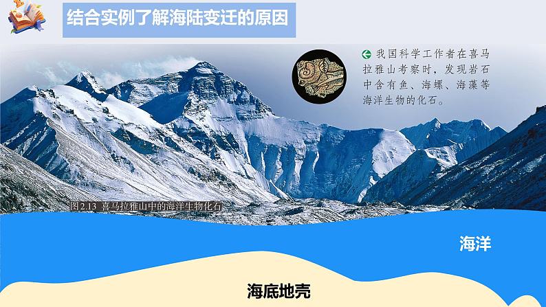 初中 地理 人教版(2024) 七年级上册(2024) 第三节 海陆的变迁 课件第6页
