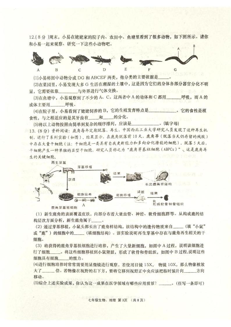 湖北省孝感市孝昌县2024-2025学年七年级上学期1月期末地理•生物试题第3页