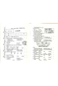 河南省开封市兰考县2024-2025学年七年级上学期期末地理试题