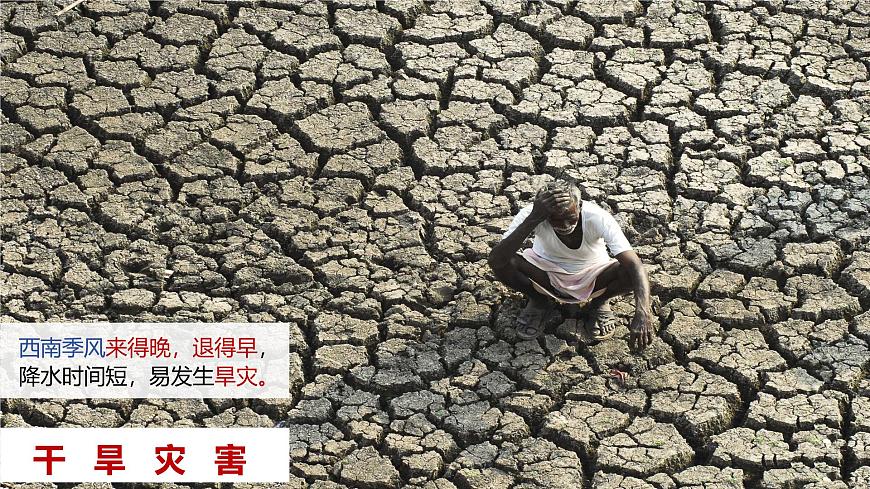 人教版（2024）七年級地理下冊課件 第八章 第三節(jié) 第二課時 熱帶季風(fēng)氣候與糧食生產(chǎn) 發(fā)展迅速的服務(wù)外包產(chǎn)業(yè)第8頁