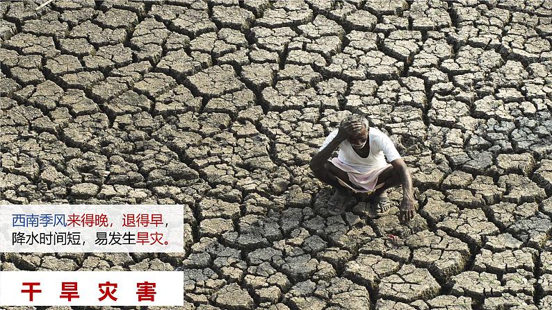 人教版(2024)七年级地理下册课件 第八章 第三节 第二课时 热带季风气候与粮食生产 发展迅速的服务外包产业第8页