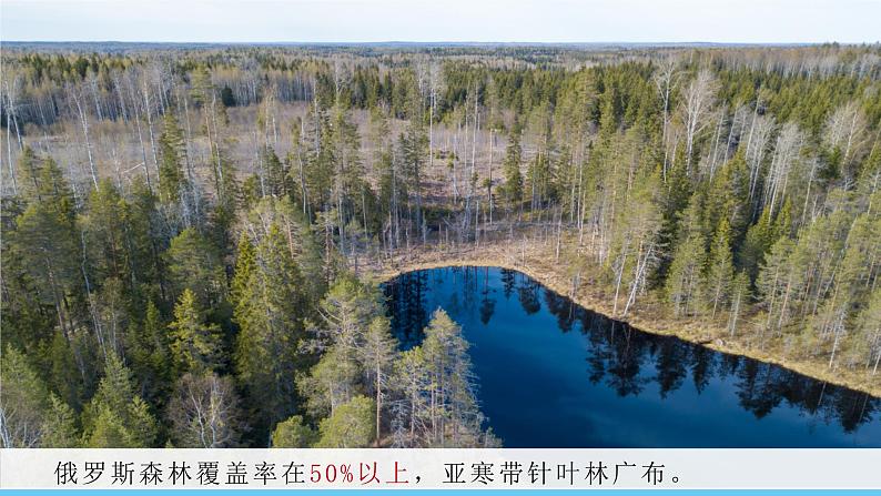 人教版(2024)七年级地理下册课件 第八章 第四节 第二课时 世界能源大国 西密东疏的管道运输线第6页
