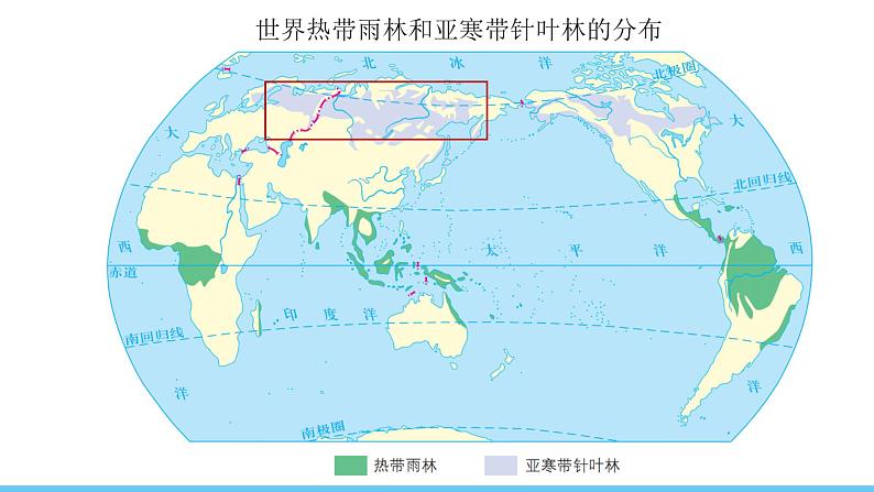 人教版(2024)七年级地理下册课件 第八章 第四节 第二课时 世界能源大国 西密东疏的管道运输线第7页