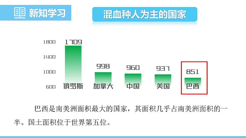人教版(2024)七年级地理下册课件 第十章 第二节 第一课时 混血种人为主的国家 发展中的经济大国第4页