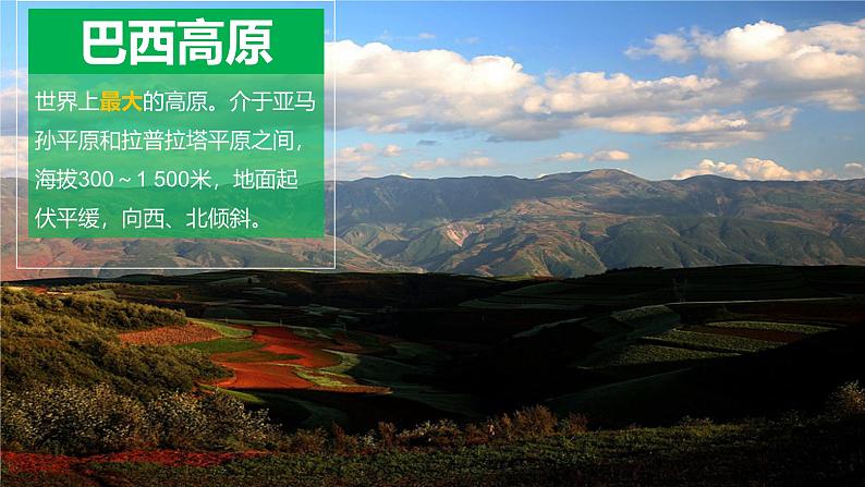 人教版(2024)七年级地理下册课件 第十章 第二节 第一课时 混血种人为主的国家 发展中的经济大国第8页