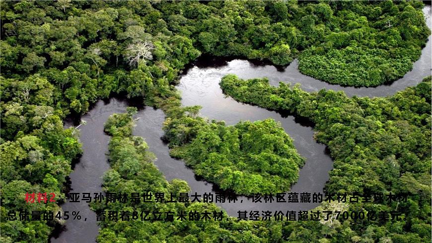人教版（2024）七年級(jí)地理下冊(cè)課件 第十章 第二節(jié) 第二課時(shí) 熱帶雨林的開發(fā)與保護(hù)第5頁