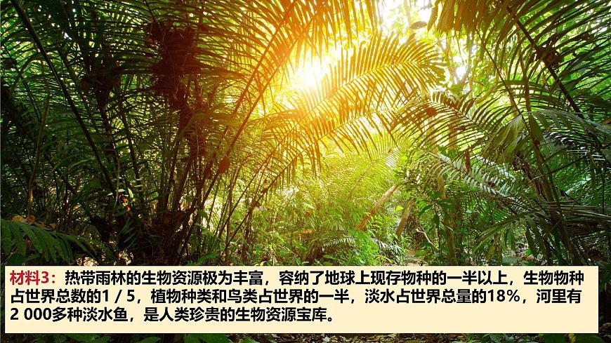 人教版（2024）七年級(jí)地理下冊(cè)課件 第十章 第二節(jié) 第二課時(shí) 熱帶雨林的開發(fā)與保護(hù)第6頁