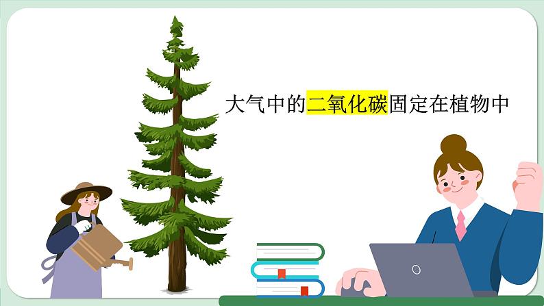 【跨学科主题学习】探寻热带雨林的固碳功能 (课件)-2024-2025学年人教版(2024)地理七年级下册第5页