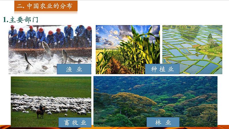 第2课时 中国农业的分布 生态环境保护 科学技术推进农业发展第3页