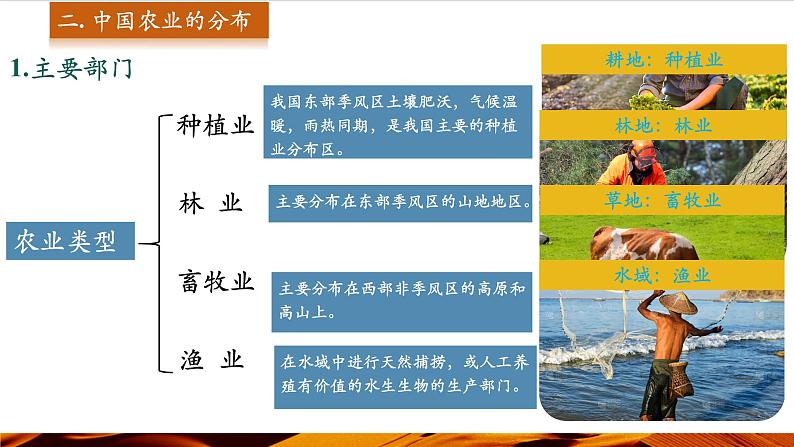 第2课时 中国农业的分布 生态环境保护 科学技术推进农业发展第4页