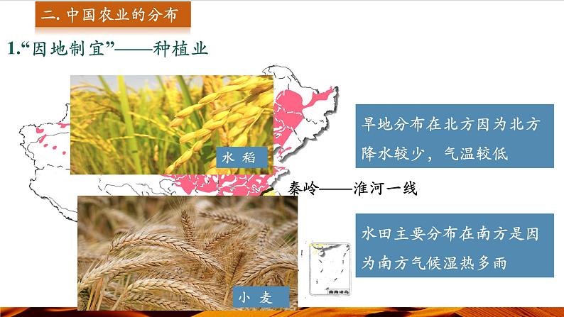 第2课时 中国农业的分布 生态环境保护 科学技术推进农业发展第7页