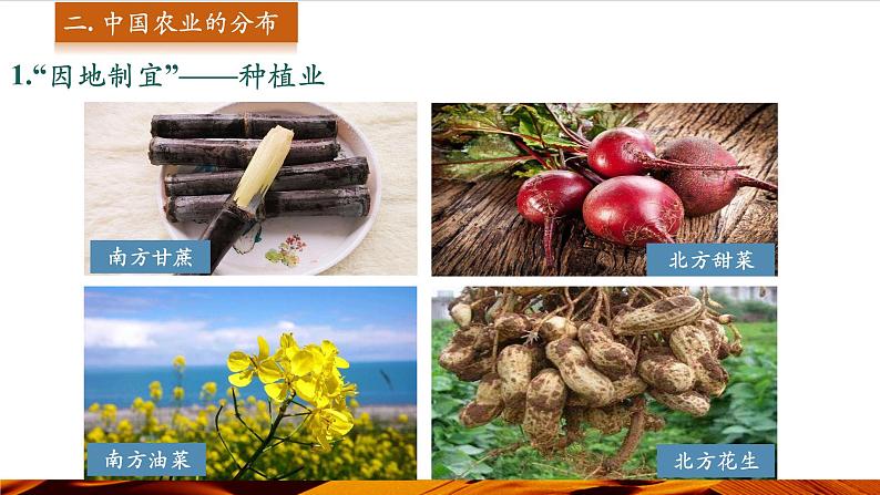 第2课时 中国农业的分布 生态环境保护 科学技术推进农业发展第8页