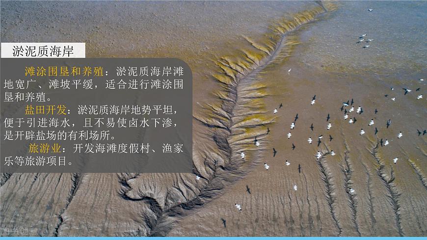 中圖版（2024）七下地理課件 第五章 第四節(jié) 海洋資源第8頁