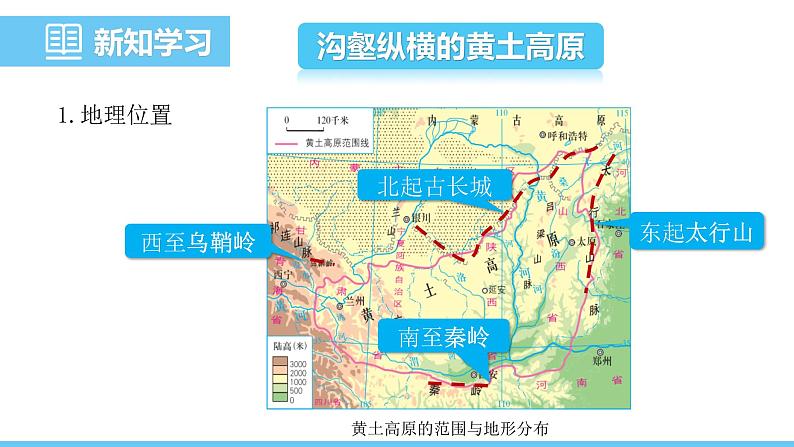 中图版(2024)七下地理课件 第七章 第三节 第一课时 沟壑纵横的黄土高原第4页