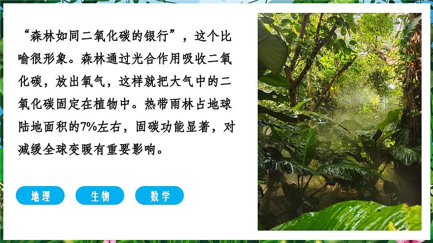 【人教新版】跨學(xué)科主題學(xué)習(xí) 《探尋熱帶雨林的固碳功能》教學(xué)課件第2頁