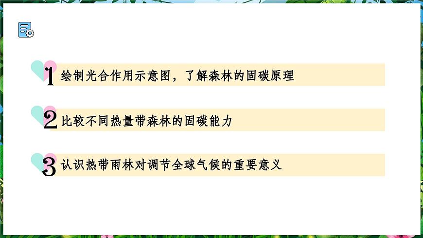 【人教新版】跨學(xué)科主題學(xué)習(xí) 《探尋熱帶雨林的固碳功能》教學(xué)課件第3頁