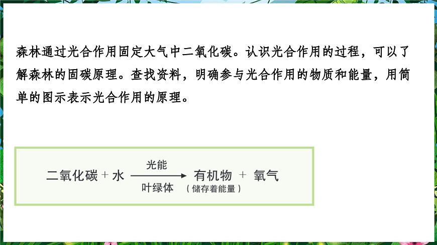 【人教新版】跨學(xué)科主題學(xué)習(xí) 《探尋熱帶雨林的固碳功能》教學(xué)課件第4頁