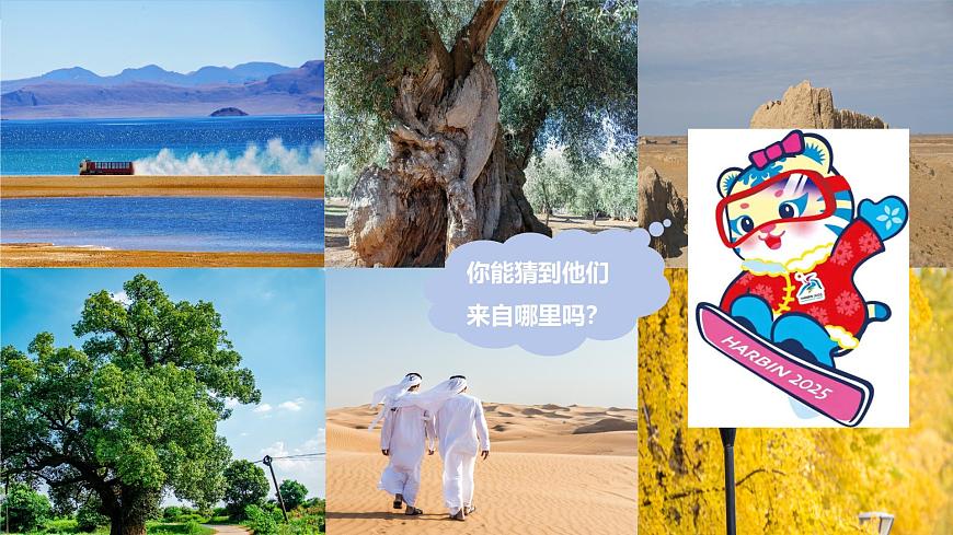 2024—2025學年七年級地理下冊人教版7.1.3 我們生活的大洲—亞洲（第3課時）（課件）第4頁