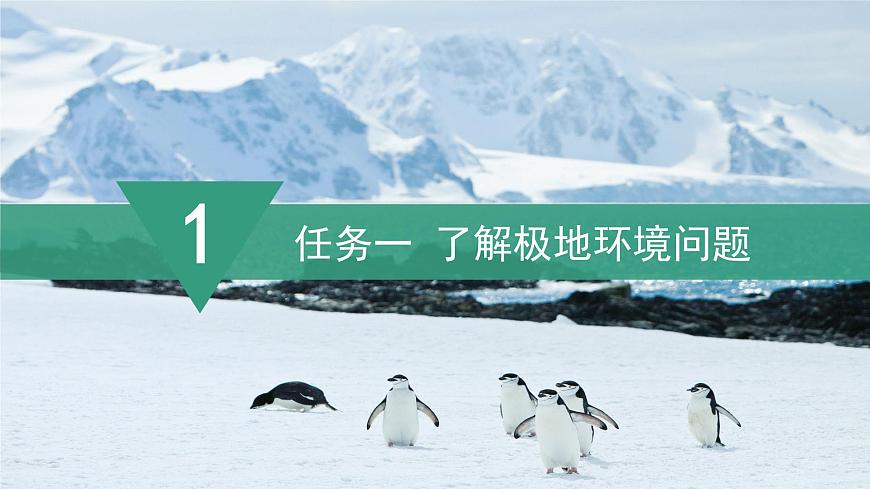 【課件】湘教版（2024）七年級(jí)下冊(cè)8.6《探究與實(shí)踐 保護(hù)極地環(huán)境》第6頁(yè)