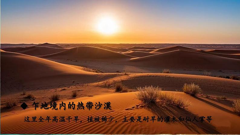 【新教材核心素养】商务星球版地理七年级下册7.4.2 撒哈拉以南非洲(第2课时)教学课件第8页